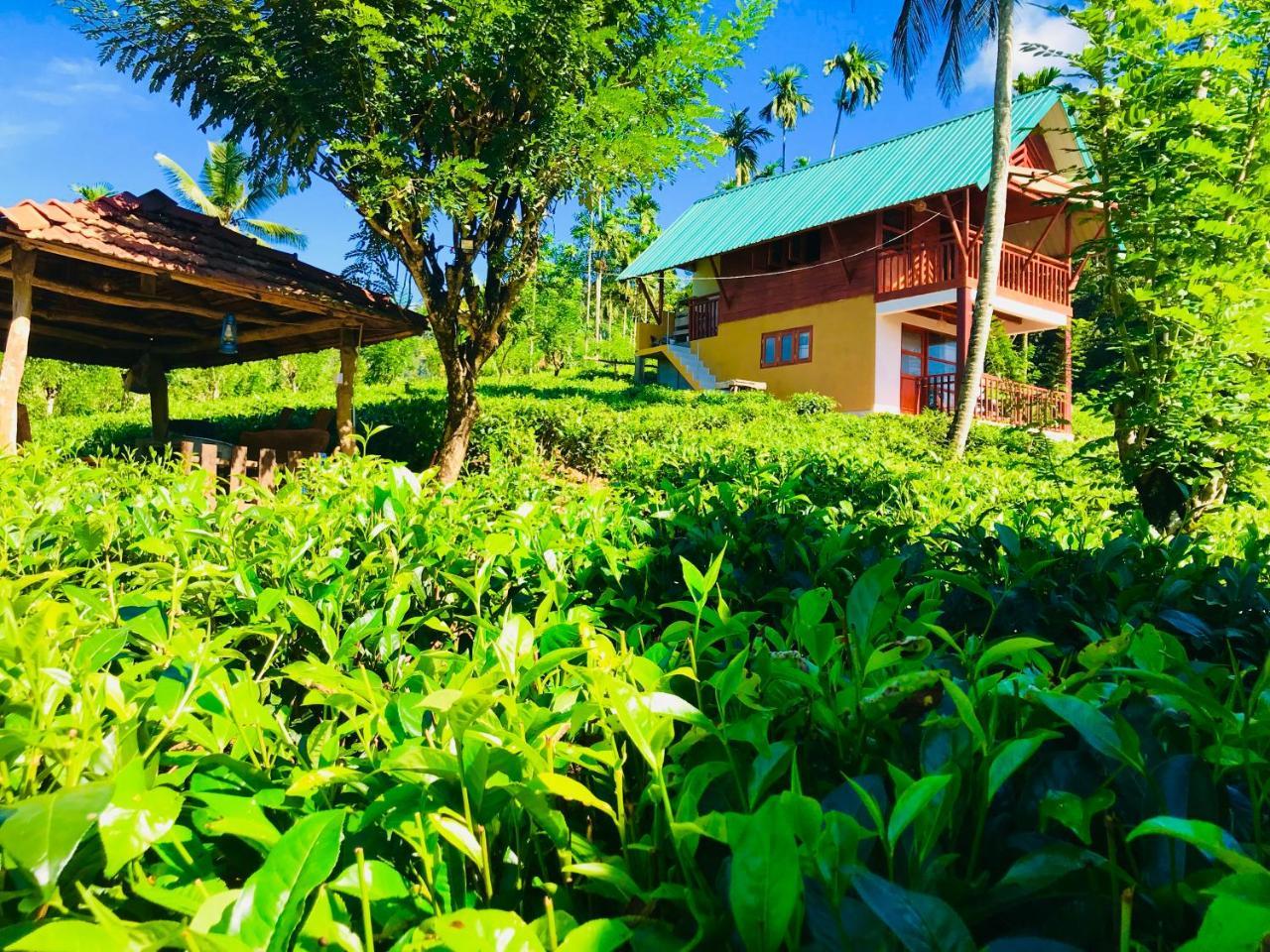 Rainforest Mount Lodge Deniyaya Exteriör bild